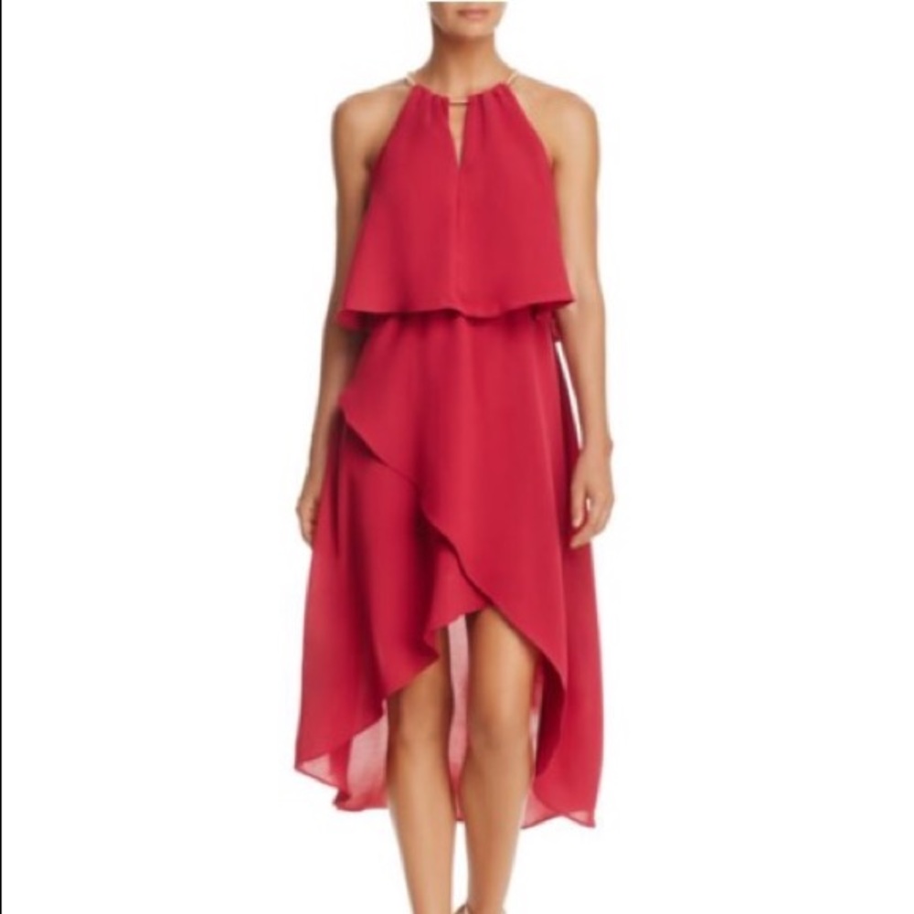 Adrianna Papell deep pink dress with gold chain